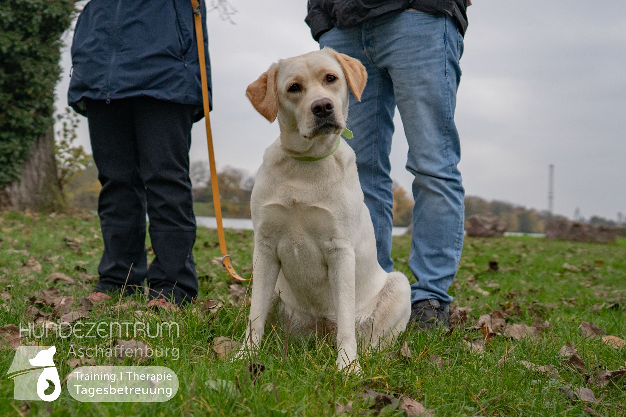 Hufü-24-11-012