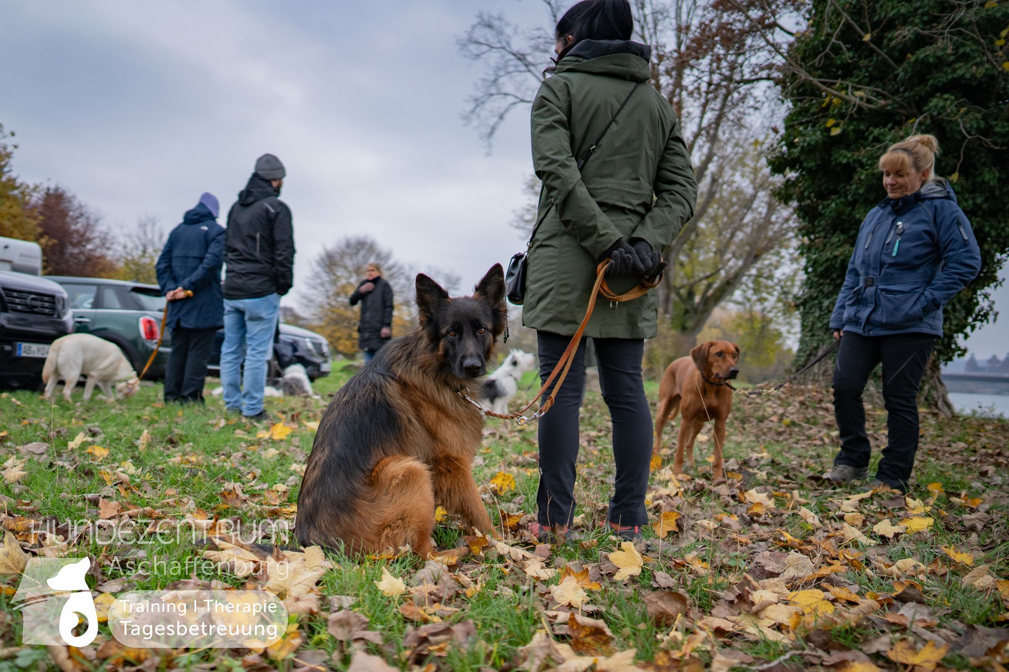 Hufü-24-11-013