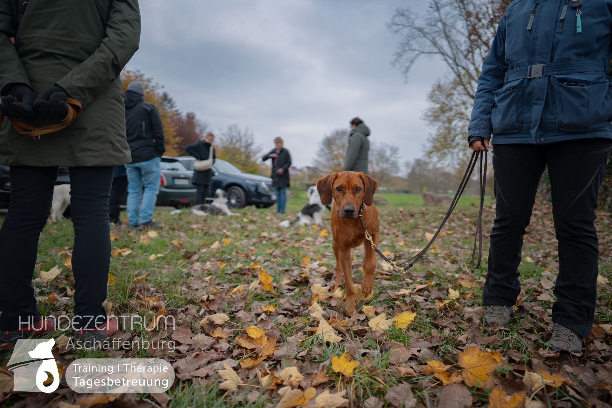 Hufü-24-11-014