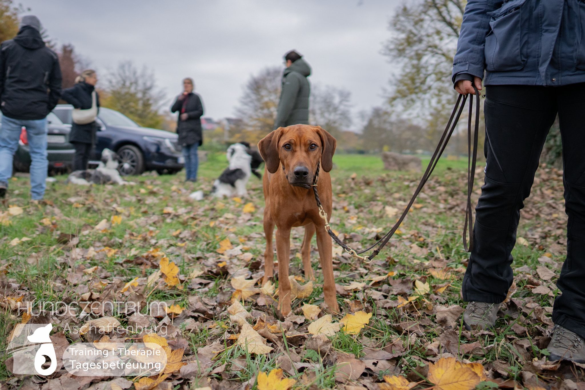 Hufü-24-11-015