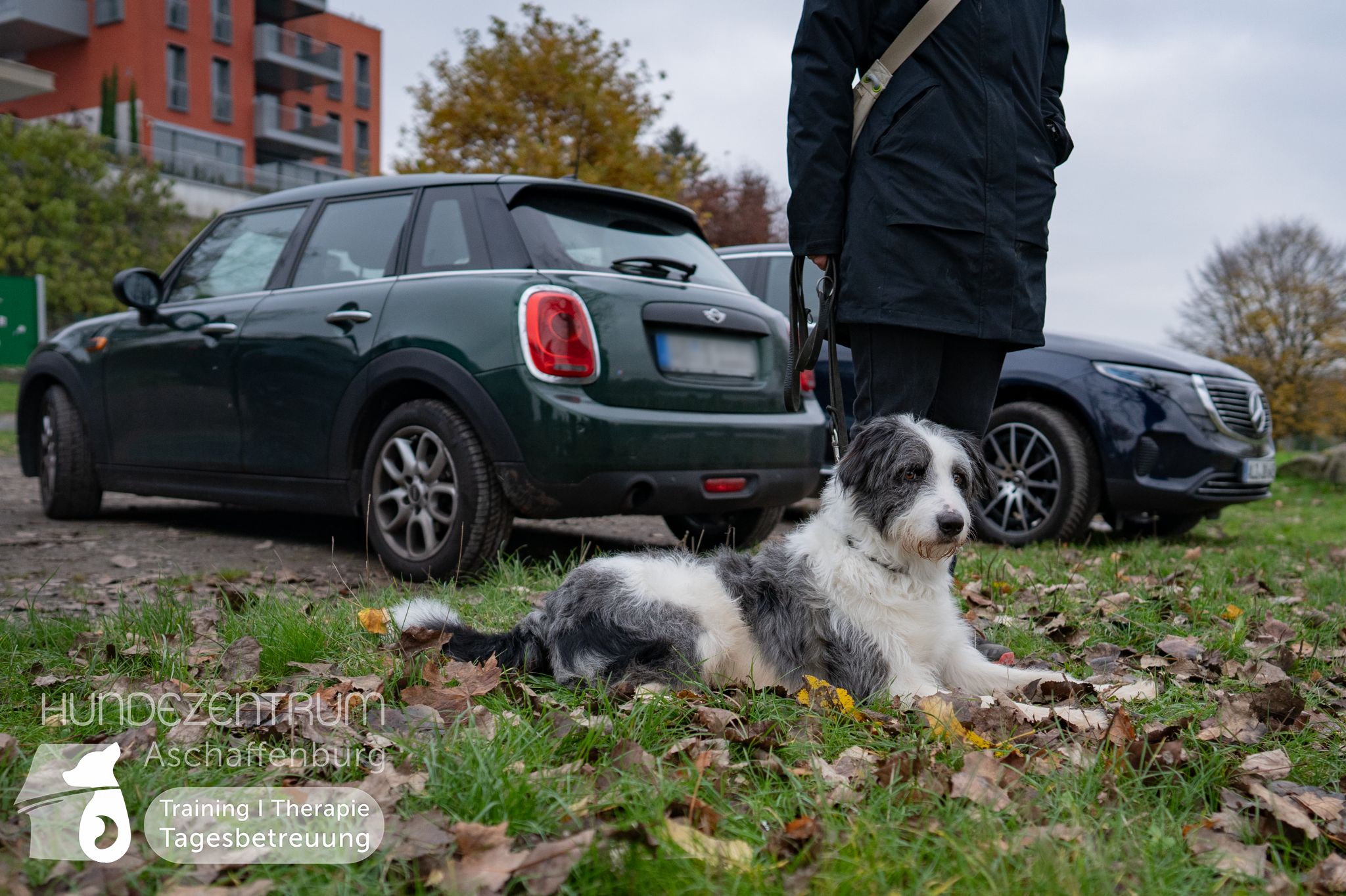 Hufü-24-11-016