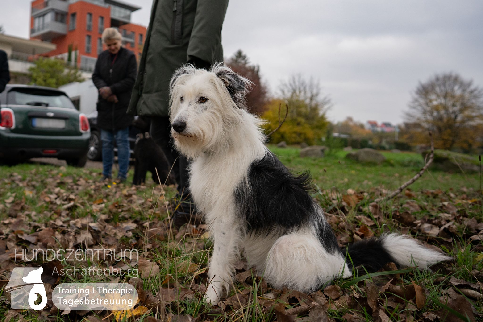 Hufü-24-11-018