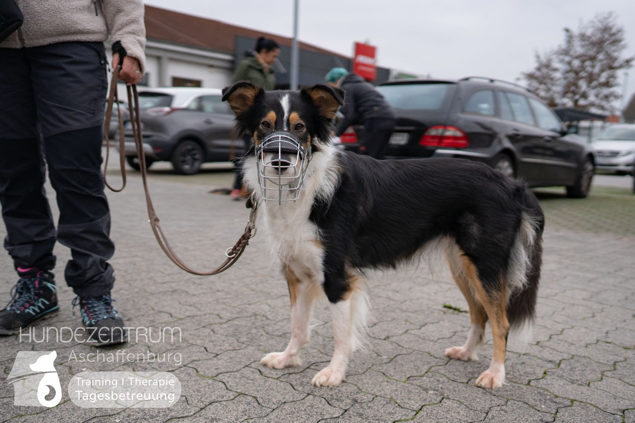 Hufü-24-11-1006