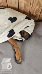 Rally-Obedience-25-08-w18-2-009