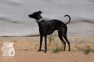 Hutamix-25-08-w25-001