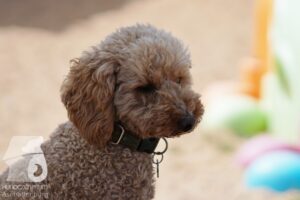 Hutamix-25-08-w25-002