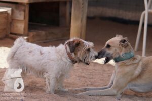 Hutamix-25-08-w25-003