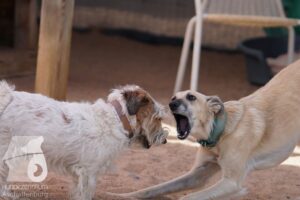 Hutamix-25-08-w25-004