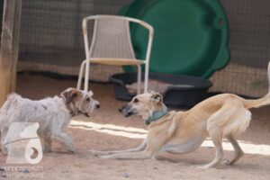 Hutamix-25-08-w25-005