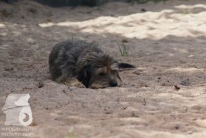 Hutamix-25-08-w25-006