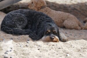 Hutamix-25-08-w25-007