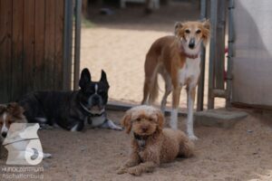 Hutamix-25-08-w25-008