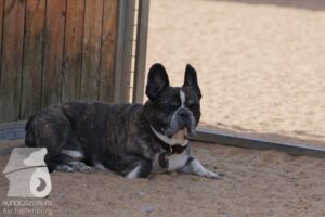 Hutamix-25-08-w25-009