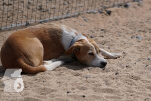 Hutamix-25-08-w25-010