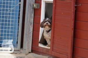 Hutamix-25-08-w25-011