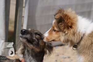 Hutamix-25-08-w25-012