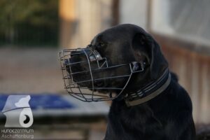 Hutamix-25-08-w25-013