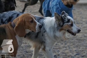 Hutamix-25-08-w25-015