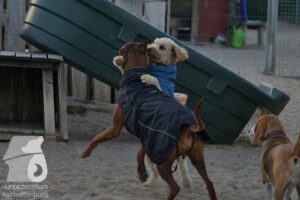 Hutamix-25-08-w25-016