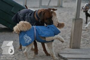 Hutamix-25-08-w25-017