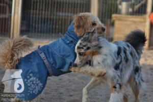 Hutamix-25-08-w25-018