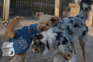 Hutamix-25-08-w25-019