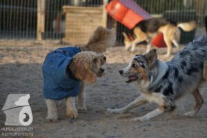 Hutamix-25-08-w25-020