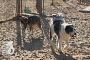 Hutamix-25-08-w25-021