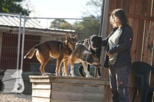 Hutamix-25-08-w25-022