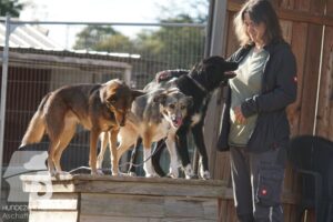 Hutamix-25-08-w25-023