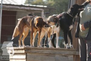 Hutamix-25-08-w25-024