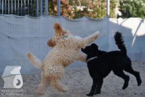 Hutamix-25-08-w25-025