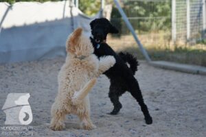 Hutamix-25-08-w25-026