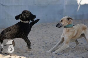 Hutamix-25-08-w25-027