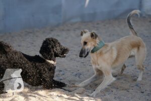 Hutamix-25-08-w25-028