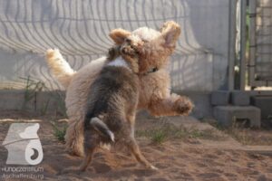 Hutamix-25-08-w25-029