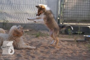 Hutamix-25-08-w25-030