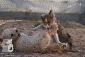 Hutamix-25-08-w25-031