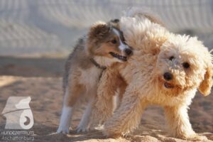 Hutamix-25-08-w25-032