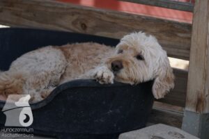 Hutamix-25-08-w25-033