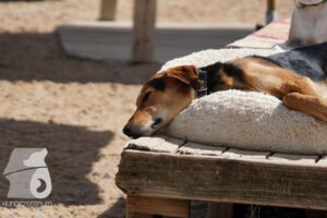 Hutamix-25-08-w25-034