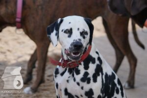 Hutamix-25-08-w25-035