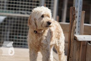 Hutamix-25-08-w25-036