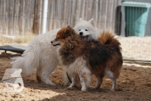 Hutamix-25-08-w25-037