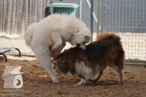 Hutamix-25-08-w25-038