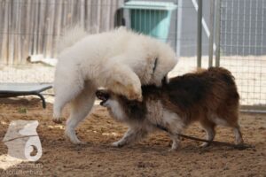 Hutamix-25-08-w25-039