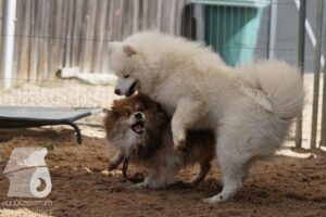 Hutamix-25-08-w25-040