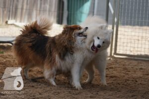 Hutamix-25-08-w25-041