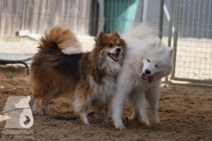 Hutamix-25-08-w25-042