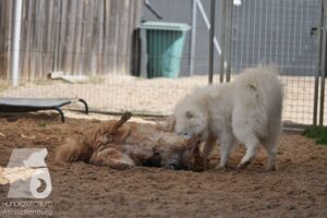 Hutamix-25-08-w25-043